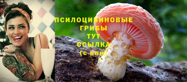 PSILOCYBIN Бронницы